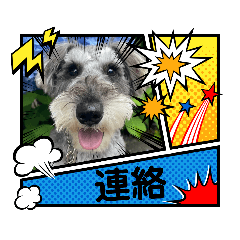 kaimomo_20230928171053