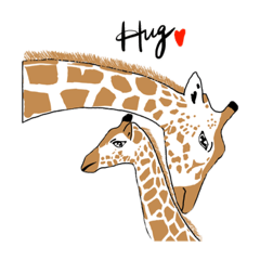 Giraffe friendship and love (English)