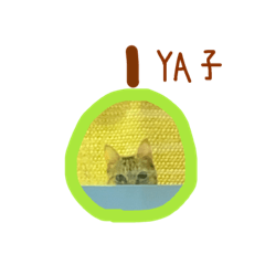 呆大呆呆呆二呆