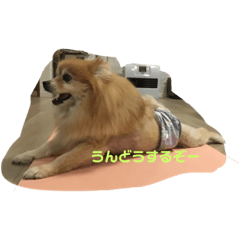 kaede_20230928215616