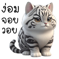 อู้กำเมือง (Ver.น้องแมวลายเสือ) – สติกเกอร์ Line | Line Store