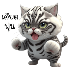 เว้าอีสาน (Ver.น้องแมวลายเสือ) – สติกเกอร์ Line | Line Store