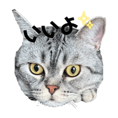 maigon_20230929094240