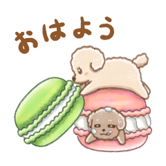 Toypoodle's Kotarou&Mio Sweets