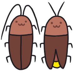 cockroach and firefly