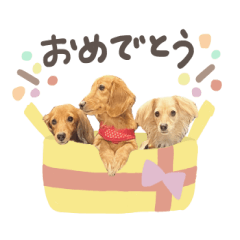 dogs sticker!!
