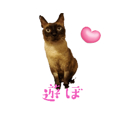 NOZOMI_20230928210709