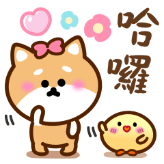 Cute Shiba kitty's colorful sticker