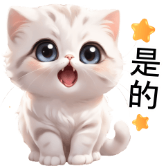 White baby Cat cute (TWN)
