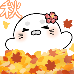Autumn with Seal Ohana-chan