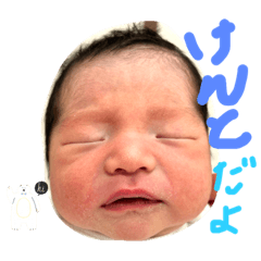 kamegon_20230929150535