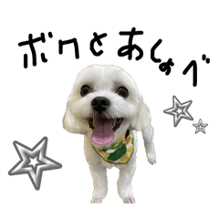 sakura_20230929133758