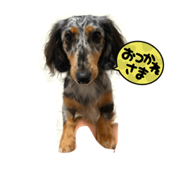 kana_20230929184425
