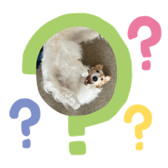 kanna.m_20230929192725