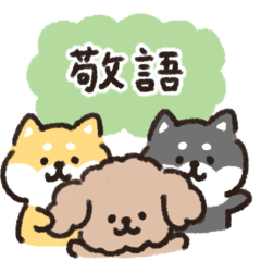 yuru shibainu and toy poodle polite
