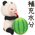熊貓毛巾 炎炎夏日篇