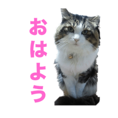 yuuko_20230930130547