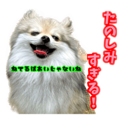 niconico_20230929191141