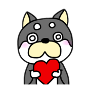 shuka_20230929204419