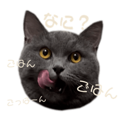 BIYF_20230929233200