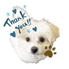 kaorin._20230930170748