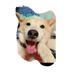 Kana_20230930174016