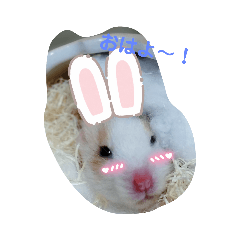 natsumi_20230930162325