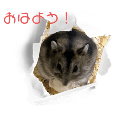nora_20230930202021