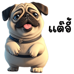 Funny Pug Dog (Kum-muang)