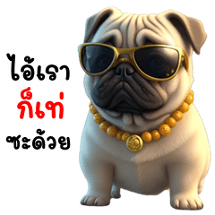 Funny Pug Dog (THAI)