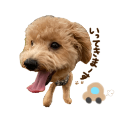 Kana_20231001003325