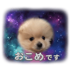 Hana_20231001001117