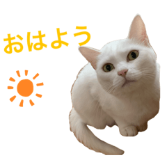 moooneko_20230930194714