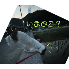 Natsumi_20231001090016