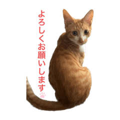 konatsu_20231001094407