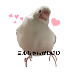 omochi_20231001000656