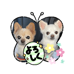 mitiko_20231001123728