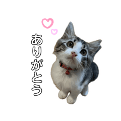 natsumi_20230930215356