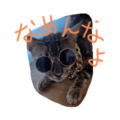 puku_20231001023521