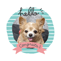 nozomi_20231001122646