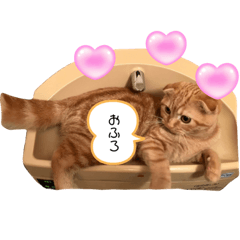 YOSHINOBU_20231001131948