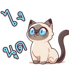 Kawaii Siamese Cat kittie V.thai