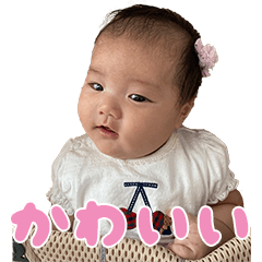 kokona 2-3month
