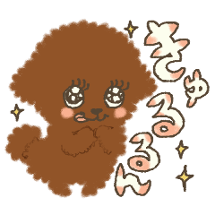 Cute poodle stickers