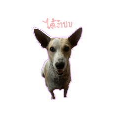 Cream_20231001190327