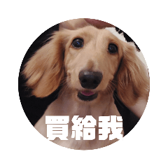 李歐先生－老媽篇