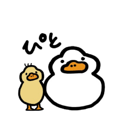 Duck to you5