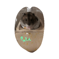 Daily sticker of hamster omochi