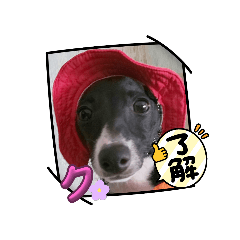 tomomi_20231001184639