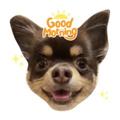 nozomi_20231001201827